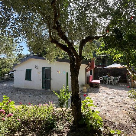 אשאה Casa Vacanze Alfano מראה חיצוני תמונה