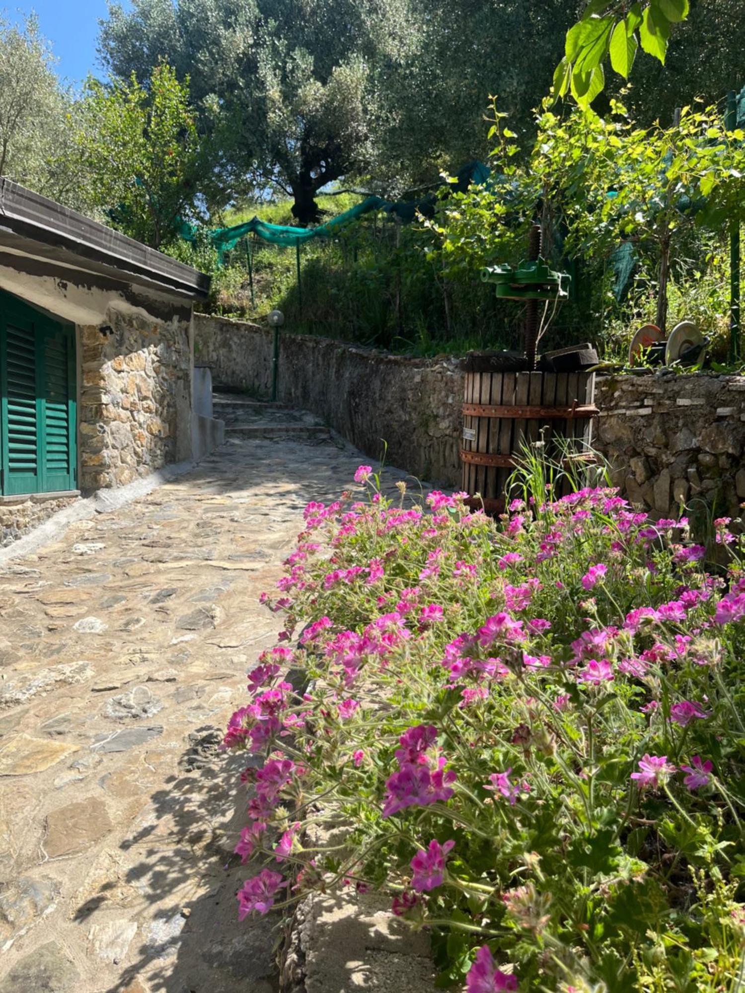 אשאה Casa Vacanze Alfano מראה חיצוני תמונה