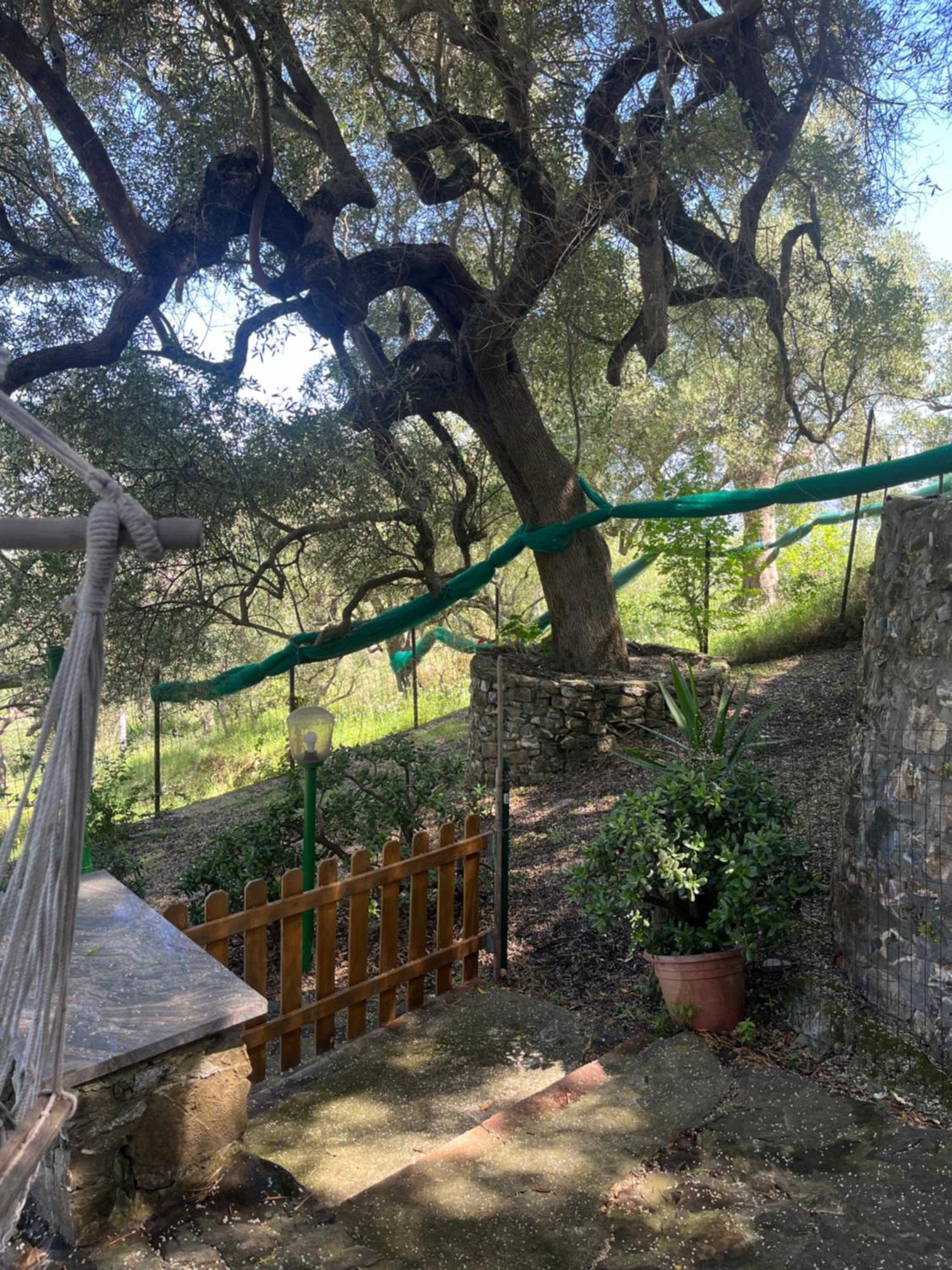 אשאה Casa Vacanze Alfano מראה חיצוני תמונה