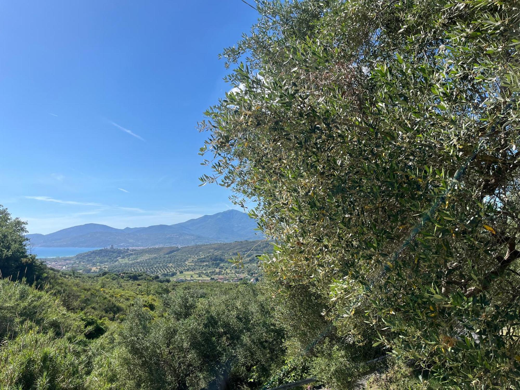 אשאה Casa Vacanze Alfano מראה חיצוני תמונה